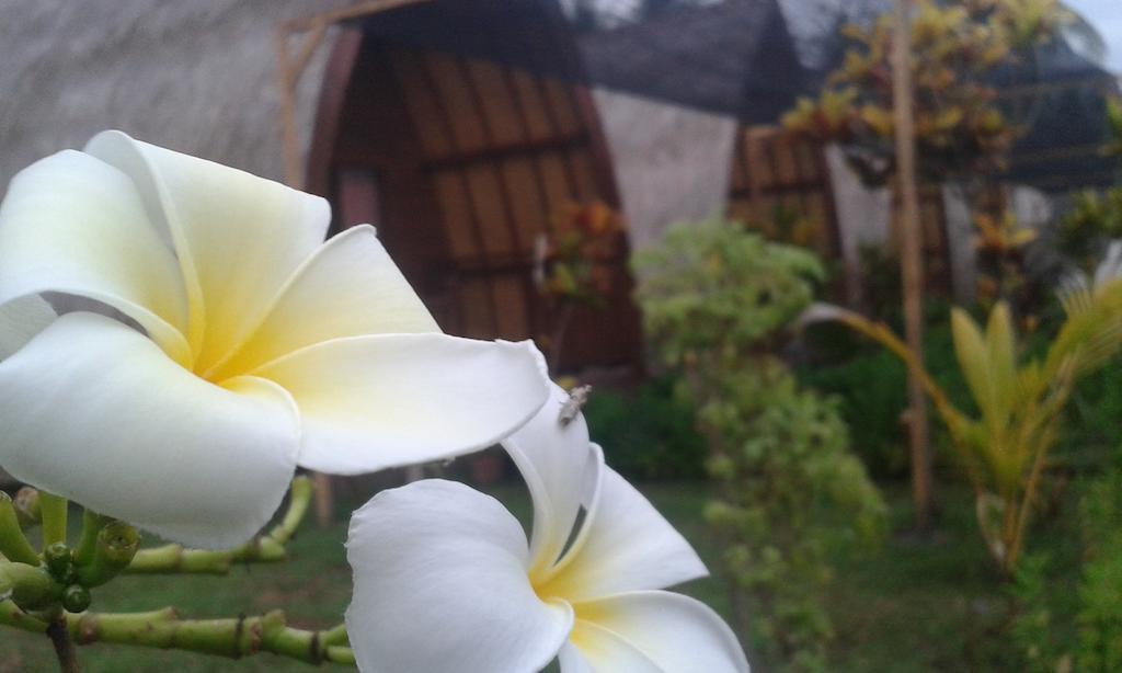 Kelapa Gading Bungalows Gili Air Chambre photo